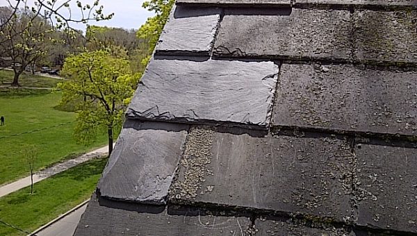 A close-up view of a sloped rooftop with dark slate shingles hints at the craftsmanship of a seasoned roofing contractor. Some shingles show wear and uneven texture. In the background, a park with trees and a pathway is visible under a partly cloudy sky.