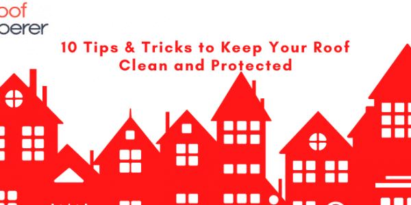 Illustration of various red house roofs with text: 10 Tips & Tricks to Keep Your Roof Clean and Protected. The logo in the corner reads The Roof Whisperer, showcasing expertise in skylight repair and roofing.