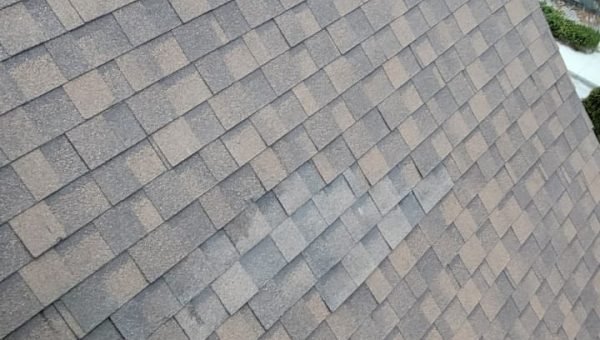 A steep roof covered with brown asphalt shingles shows color variations. Several houses and treetops peek into view in the background, subtly emphasizing the need for potential roof repair or skylight replacement amidst this picturesque setting.