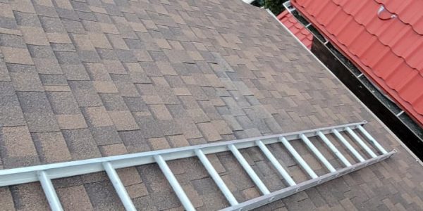 A person is sitting on a brown shingled roof, contemplating skylight replacement, with a silver ladder nearby. In the background, there are houses, trees, and a utility pole. The scene features a roofing company expert at work, clad in shoes and pants.