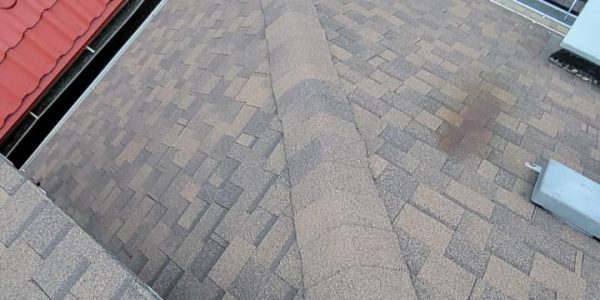 A person wearing worn sneakers stands on a brown shingled rooftop, contemplating roof repair. In the background, adjacent buildings with red and brown roofs, a chimney, and a shed are surrounded by trees and foliage.