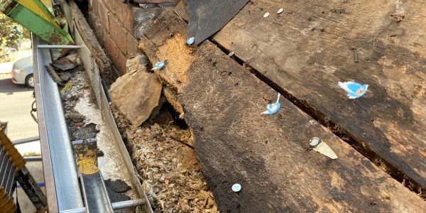 The view showcases a deteriorating wooden roof structure with exposed, weathered beams and debris. Parts of the roof are damaged, revealing visible nails and a metal gutter running alongside. A brick chimney stands in the background, hinting at past roofing challenges for any roofing contractor.