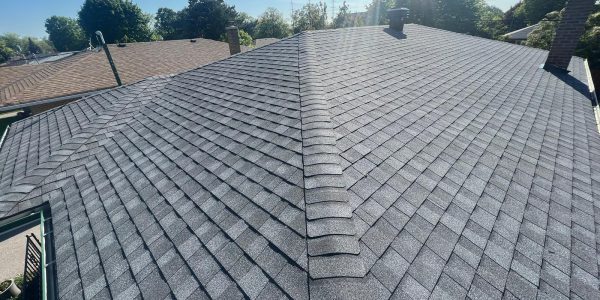 A rooftop with gray asphalt shingles under a clear blue sky. Sunlight casts shadows, and trees are visible in the background. Two brick chimneys stand on either side of the roof, which is due for some skylight repair to maintain its pristine condition.