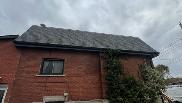 A two-story building with a brick and concrete exterior is shown. Ivy grows on the wall, reaching up to the roof, where a ladder hints at ongoing work by a roofing contractor. The sky is overcast with gray clouds.