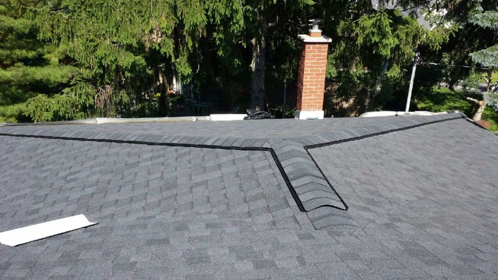 A dark gray shingled roof with a V-shaped ridge is shown, suggesting the expertise of a roofing company. In the background, tall, lush green pine trees and a red brick chimney are visible as bright sunlight casts shadows across the roof.