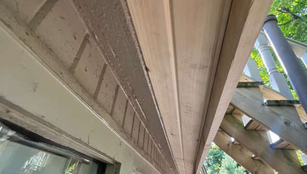 View from below a wooden deck, showing angled beams and an overhang. A window is visible on the left. Sunlight filters through the green trees and structure, casting shadows on the wall—a serene view just before arranging a skylight repair with your trusted roofing contractor.