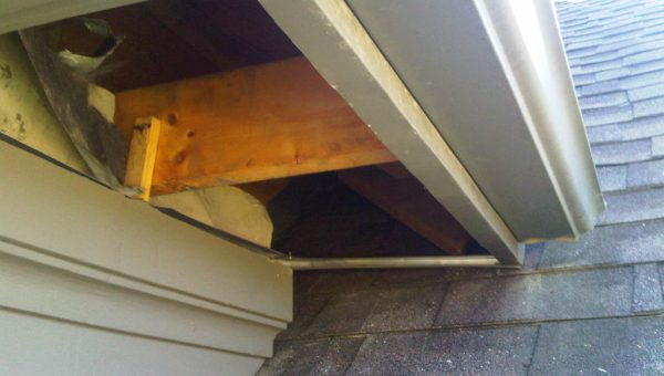 A close-up view of a houses roof corner shows a section where the siding is pulled away, exposing a wooden beam and insulation. The roof is covered with gray shingles, and the gap reveals areas that might need attention from roofing companies for skylight repair or chimney repair.